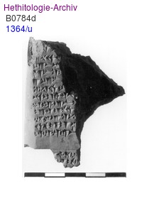 1364/u