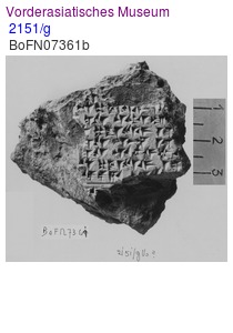 2151/g