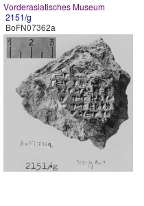 2151/g
