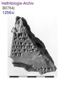1256/u