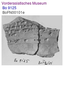 Bo 9125
