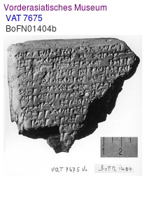 VAT 7675