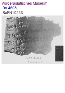 KUB 31.81