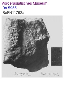 Bo 5955