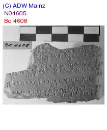 KUB 31.81