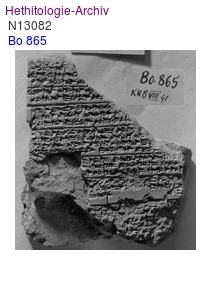 KUB 8.41