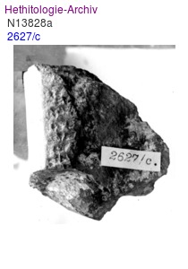 KUB 29.13